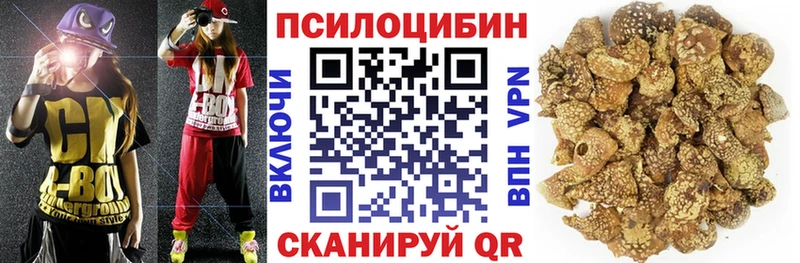 Псилоцибиновые грибы GOLDEN TEACHER ОМГ ОМГ онион Отрадный