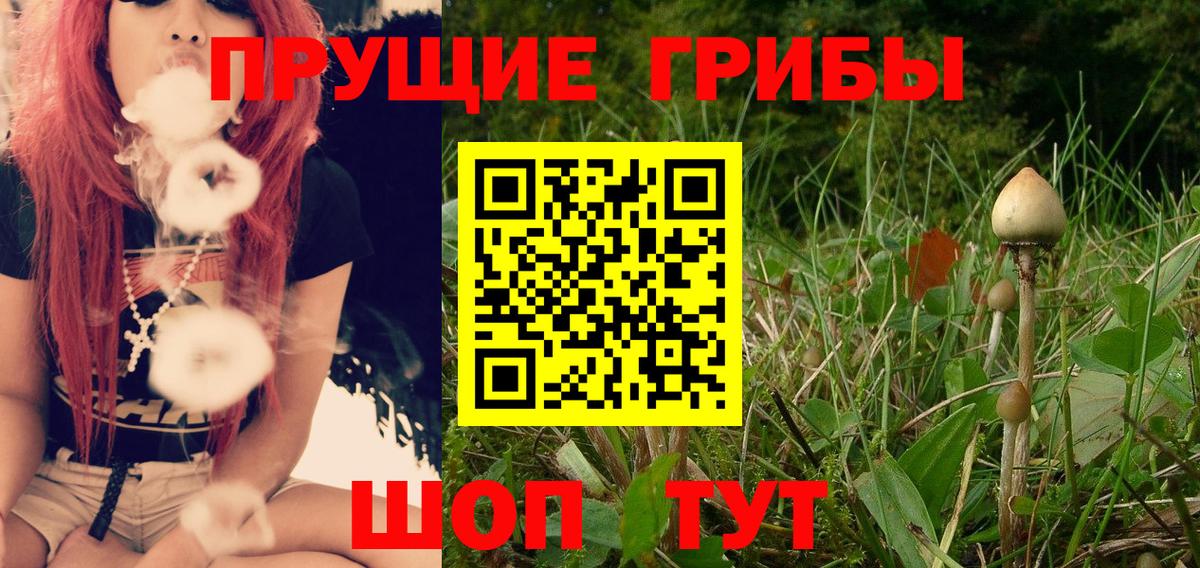 Галлюциногенные грибы ЛСД Отрадный